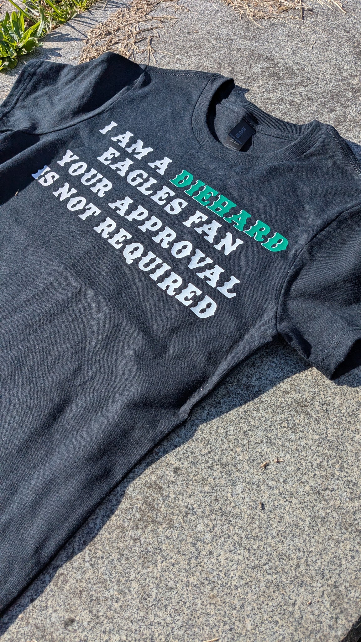 I Am A DIEHARD Eagles Fan tee