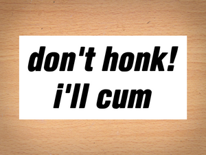 don't honk! i'll cum bumper sticker