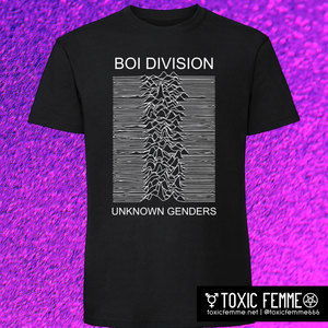 BOI DIVISION: UNKNOWN GENDERS graphic tee