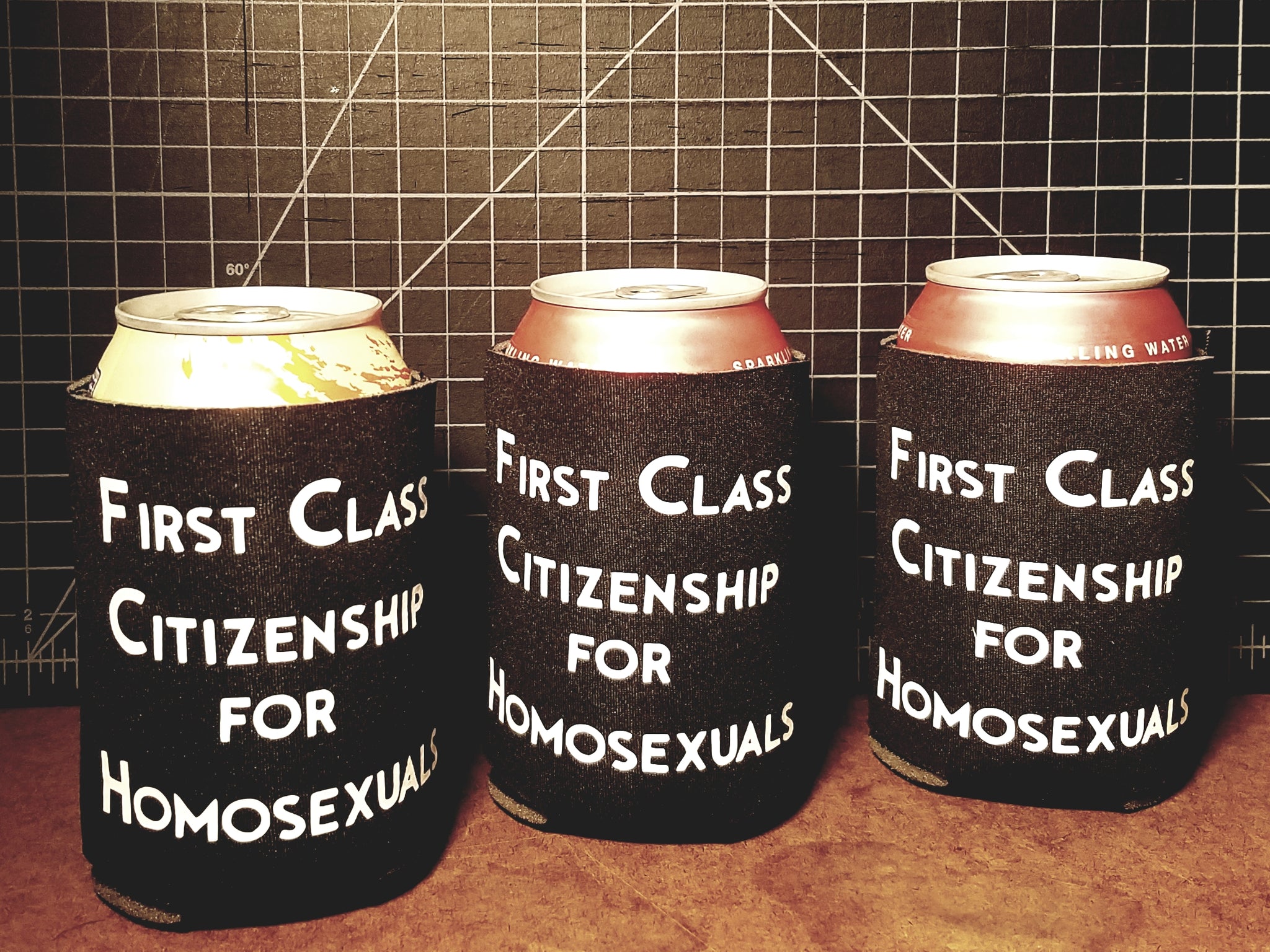 First Class Citizenship for Homosexuls coozie