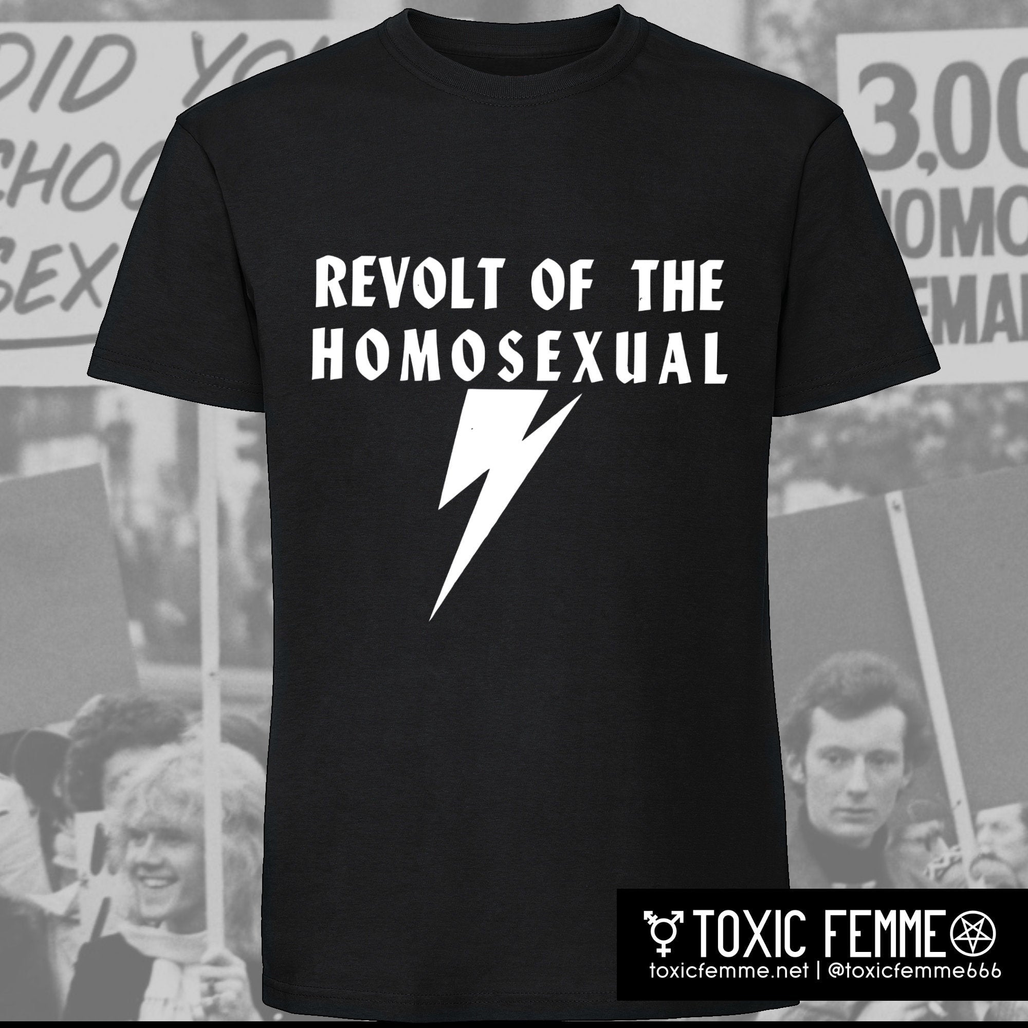 gay,lgbt,queer,liberation,stonewall,rights,revolution,bilitis,pride,trans,homosexual
