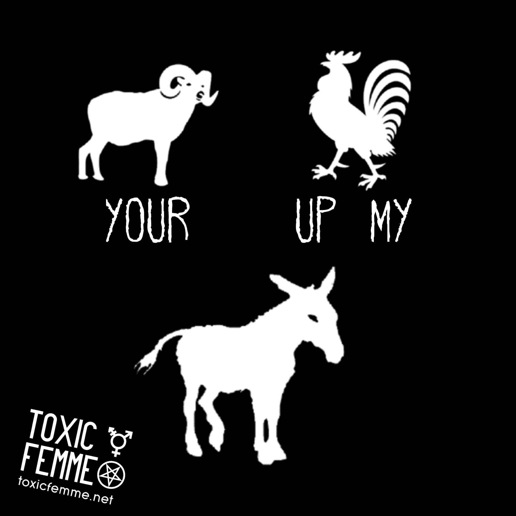 SHEEP your ROOSTER up my DONKEY graphic tee